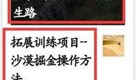 新闻爆料标题文字大全最新,新闻标题文字大全背后的故事与真相